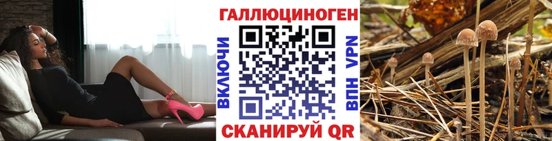 omg ONION Среднеколымск Псилоцибиновые грибы мицелий